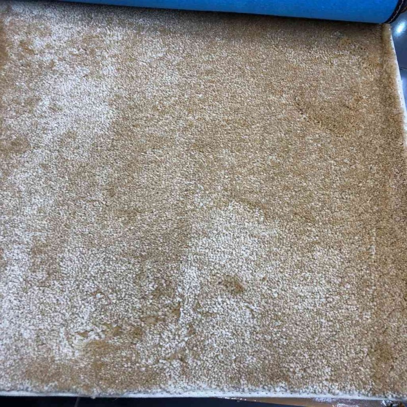 Carpet 40 beige plain