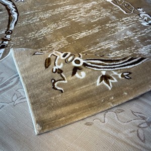 سجاد مودرن جانان تركي S1014 فيزون مقاس 50*80