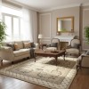 RINAS Turkish Carpet 41152A Light gray Size 200*300