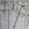 Turkish Bohemian Rug 2309A brown Beige Size 300*400