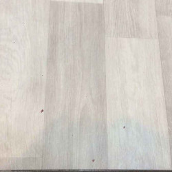 فينيل بلجيكي 142