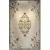 Iris Turkish Rug N0597A tera Size 80*150