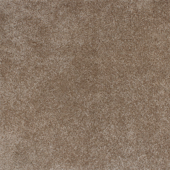 Plain Dior carpet color 313 thick