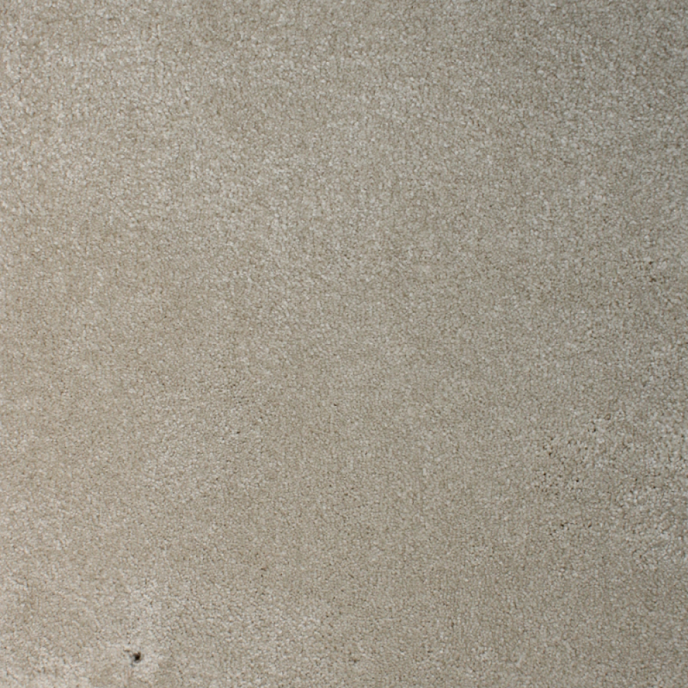 موكيت ساده ديور اللون 301 سميك موكيت ساده ديور اللون 301 سميك