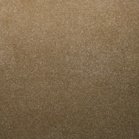 Plain Dior carpet color 308 thick