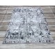 Russian Gray Portfolio Carpet E906A 300*400